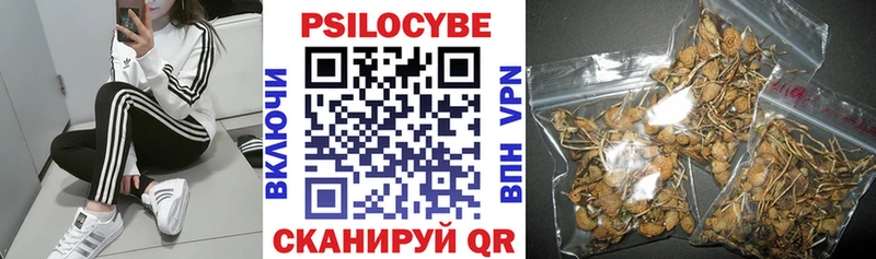 Галлюциногенные грибы GOLDEN TEACHER  Купить  Воркута 